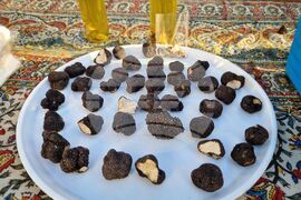 Бургас - трюфели