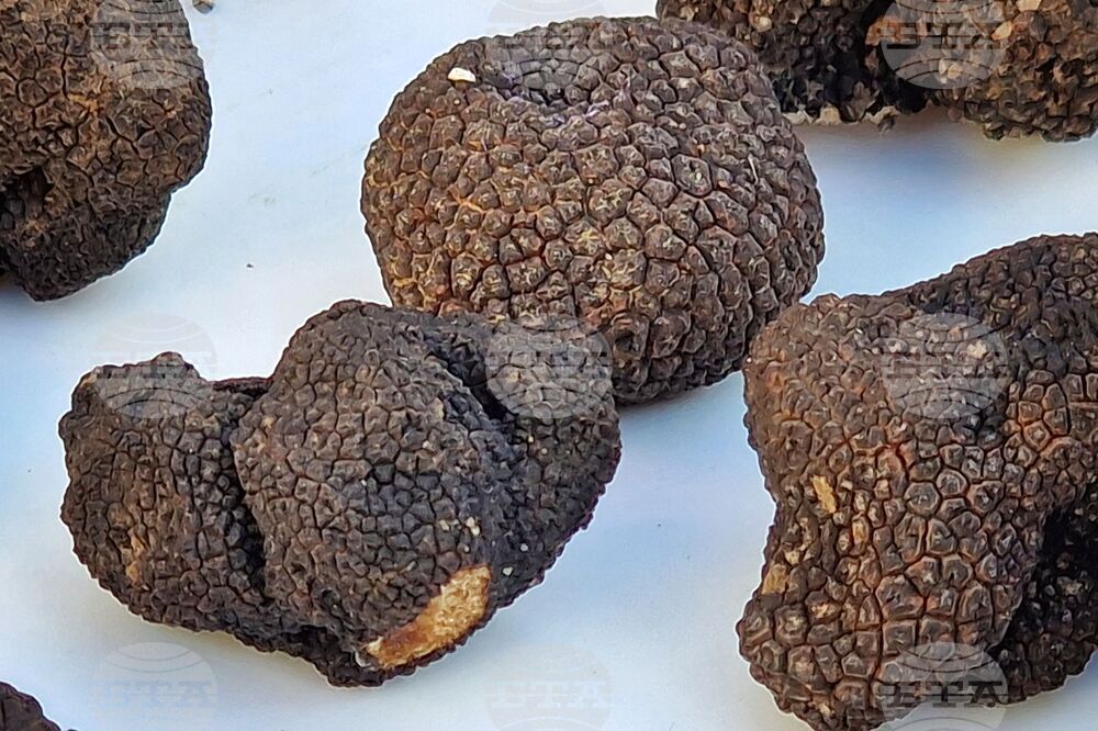 Бургас - трюфели