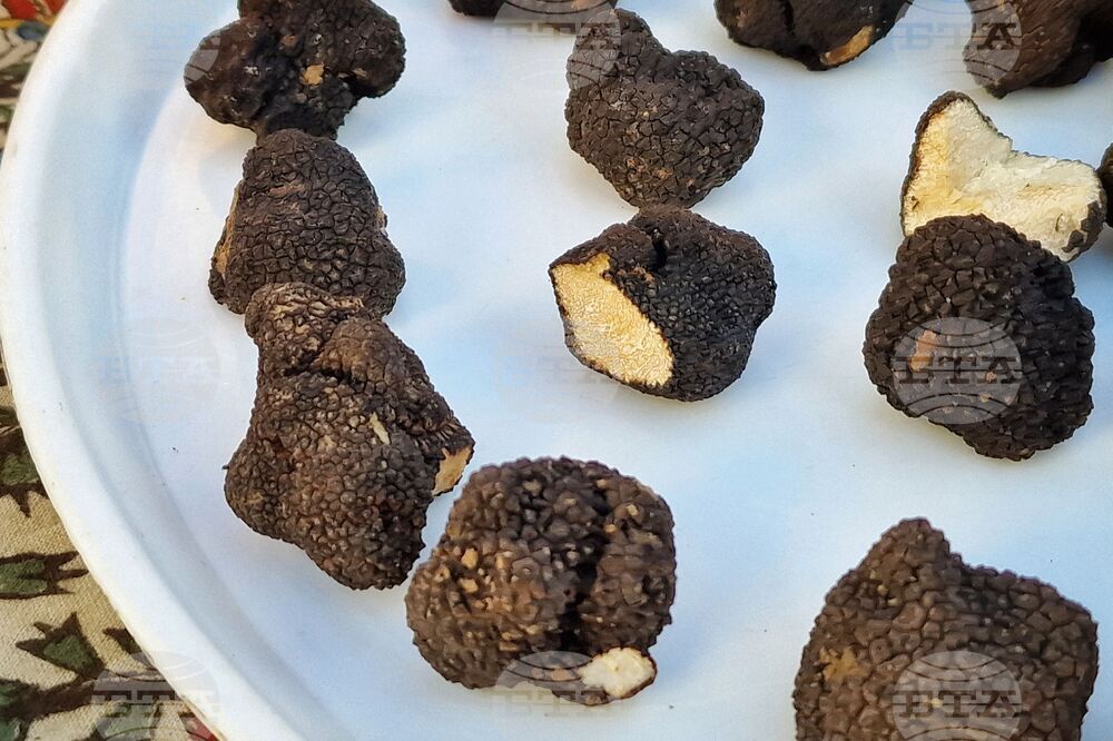 Бургас - трюфели