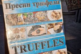 Бургас - трюфели