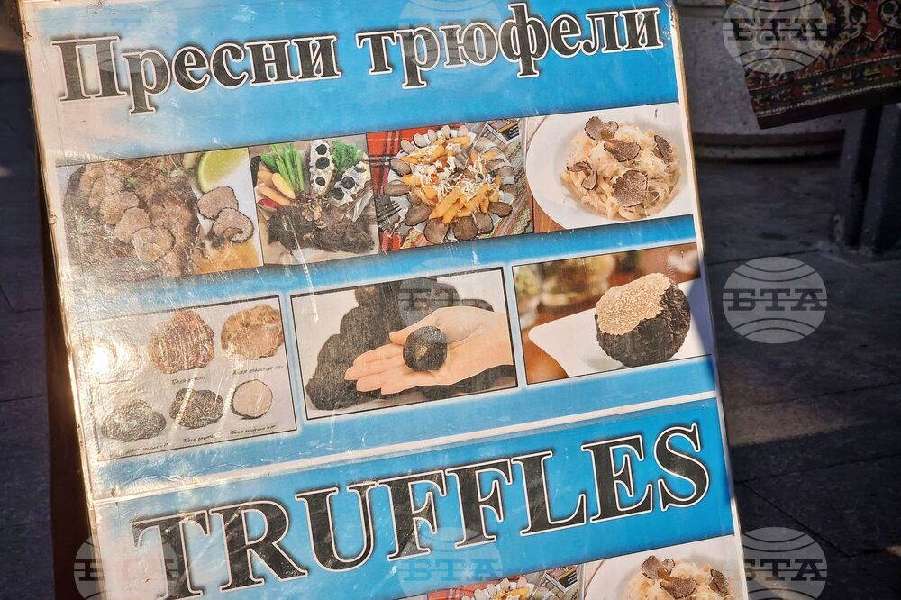 Бургас - трюфели