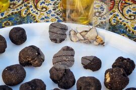 Бургас - трюфели