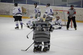 Хокей на лед - НСА - Ирбис-Скейт