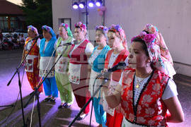 Село Мъдрево - селищен празник - концерт