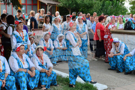 Село Мъдрево - селищен празник - концерт