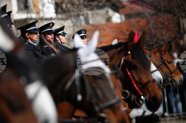 СДВР обяви обществена поръчка за доставка на 30 тона слама за нуждите на служебните коне при отдел "Специализирани полицейски сили"