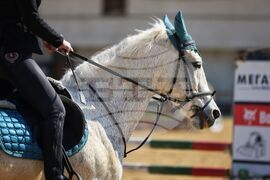 Бургас - Тодоровден - конни надскачания