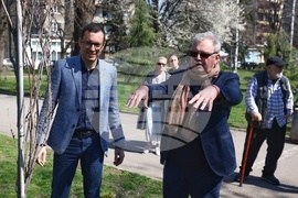 Дървета - засаждане