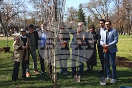 Дървета - засаждане