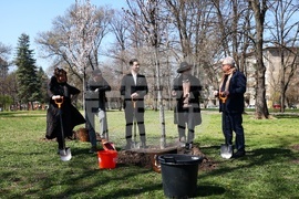 Дървета - засаждане