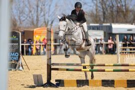 Бургас - Тодоровден - конни надскачания