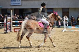 Бургас - Тодоровден - конни надскачания