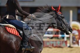 Бургас - Тодоровден - конни надскачания