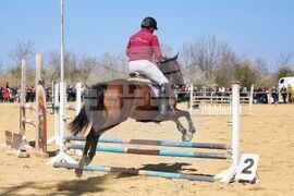 Бургас - Тодоровден - конни надскачания