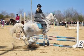 Бургас - Тодоровден - конни надскачания