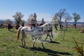 Сливен - Тодоровден - празник "Конете на българите"