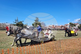 Самоков - Тодоровден - конни надбягвания