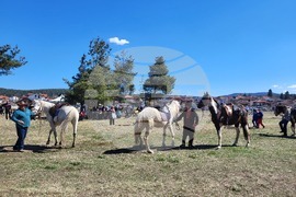 Самоков - Тодоровден - конни надбягвания