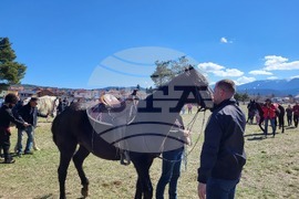 Самоков - Тодоровден - конни надбягвания