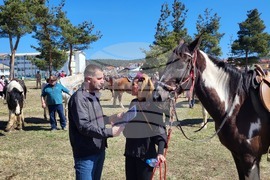 Самоков - Тодоровден - конни надбягвания