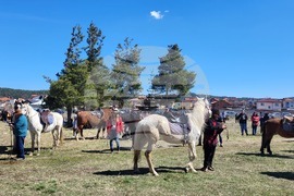 Самоков - Тодоровден - конни надбягвания
