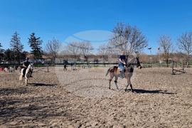 Разград - Тодоровден - честване