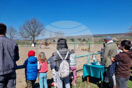 Разград - Тодоровден - честване