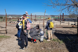 Разград - Тодоровден - честване