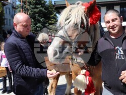 Снимка: Община Банско