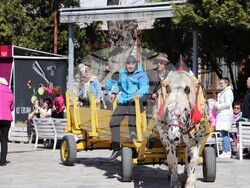 Снимка: Община Банско