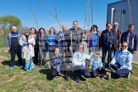 Ямбол - дръвчета - залесяване - акция