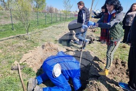 Ямбол - дръвчета - залесяване - акция