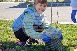 Ямбол - дръвчета - залесяване - акция