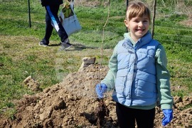 Ямбол - дръвчета - залесяване - акция