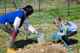 Ямбол - дръвчета - залесяване - акция