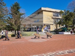 Село Садина - Тодоровден - възстановка