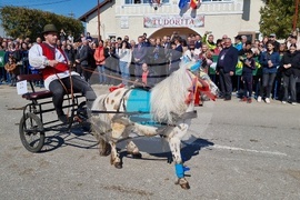 Румъния - Търговище - Илияна Йотова - Конски Великден