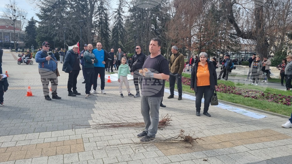 Търговище - фиданки - благотворително събитие