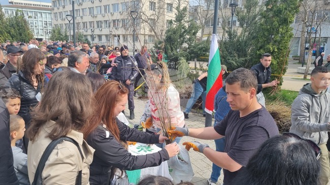 Различни видове дръвчета ще подари на търговищенци Гората.бг 