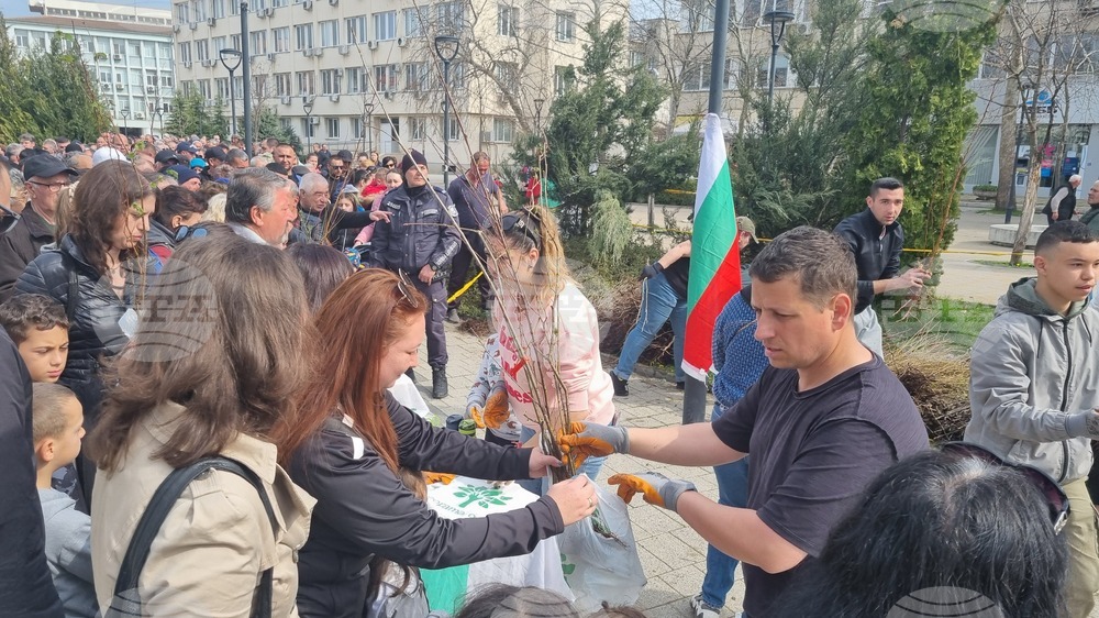 Търговище - фиданки - благотворително събитие