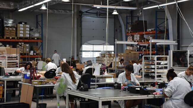  Заетостта в ЕС остава стабилна през третото тримесечие на 2025 г., България отчита лек спад от 0,4 процентни пункта 