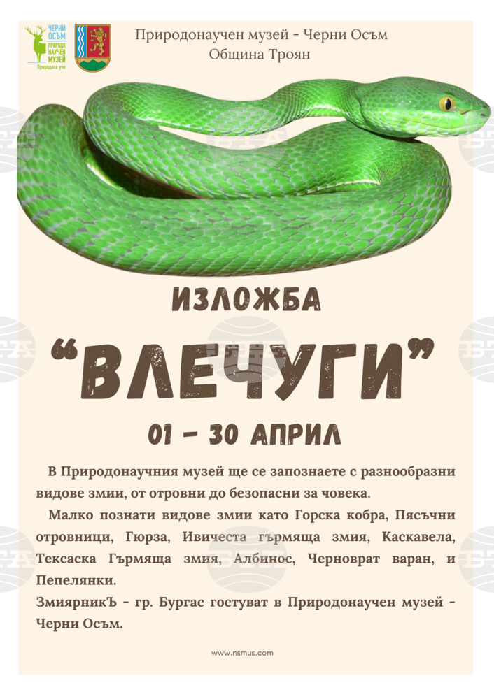 Посетителите на Природонаучния музей в село Черни Осъм ще се срещнат с живи влечуги
