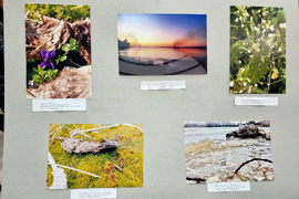 Видин - „Вода за мир“ - конкурс - награждаване