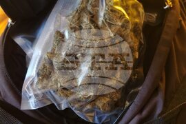 Домашна наркооранжерия за канабис разкриха криминалисти на РУ – Самоков