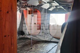 Домашна наркооранжерия за канабис разкриха криминалисти на РУ – Самоков