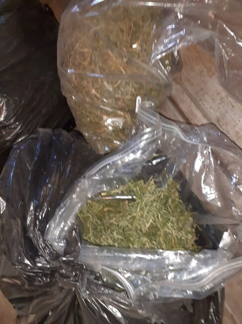 Полицията във Враца иззе над три килограма суха марихуана и 138 таблетки екстази през миналата година