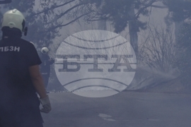 Ямбол - пожар - лесопарк "Боровец"