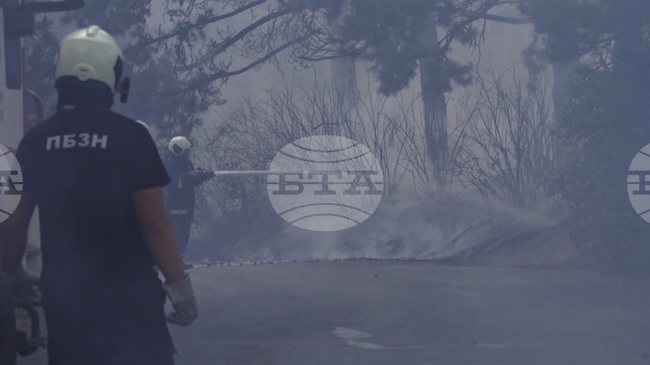 Ямбол - пожар - лесопарк "Боровец"