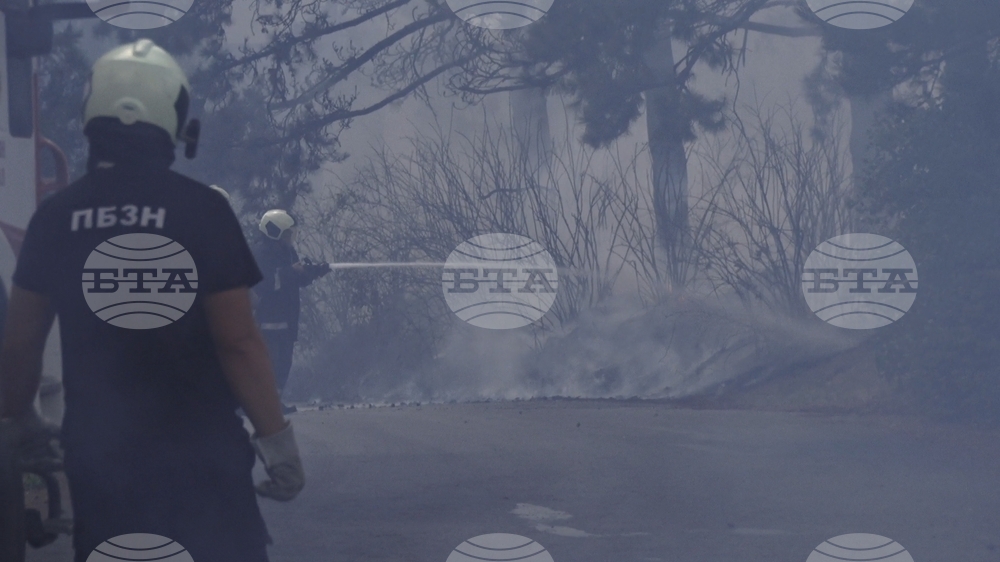 Ямбол - пожар - лесопарк "Боровец"