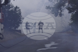 Ямбол - пожар - лесопарк "Боровец"